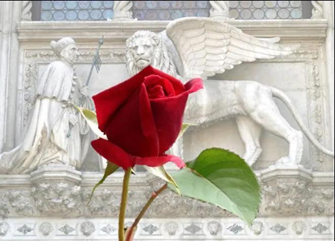 Bed & Breakfast Ca' Maddalena Bed and Breakfast Venezia